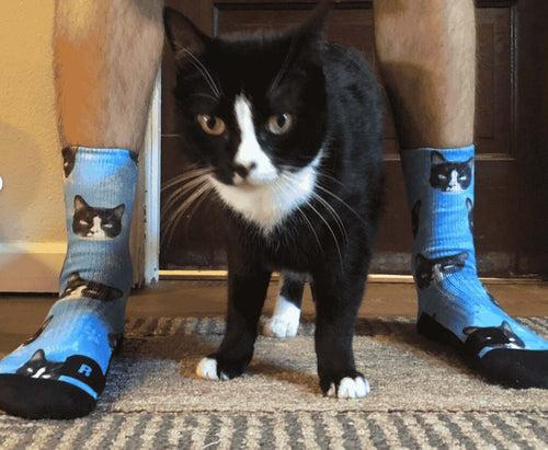 Custom Cat Socks